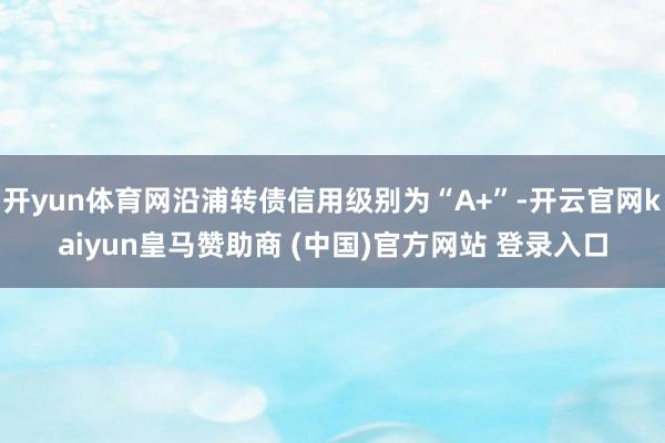 開yun體育網(wǎng)沿浦轉(zhuǎn)債信用級別為“A+”-開云官網(wǎng)kaiyun皇馬贊助商 (中國)官方網(wǎng)站 登錄入口