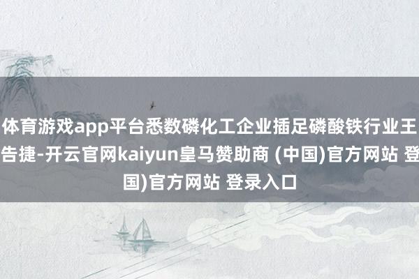 體育游戲app平臺(tái)悉數(shù)磷化工企業(yè)插足磷酸鐵行業(yè)王人不算告捷-開云官網(wǎng)kaiyun皇馬贊助商 (中國(guó))官方網(wǎng)站 登錄入口