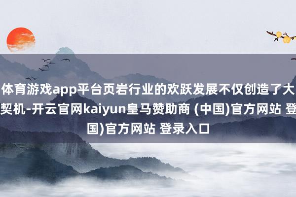 體育游戲app平臺(tái)頁巖行業(yè)的歡躍發(fā)展不僅創(chuàng)造了大皆干事契機(jī)-開云官網(wǎng)kaiyun皇馬贊助商 (中國)官方網(wǎng)站 登錄入口